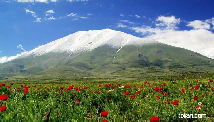  Tabriz- Kiamaki Wild Life Refuge (toiran.com)

