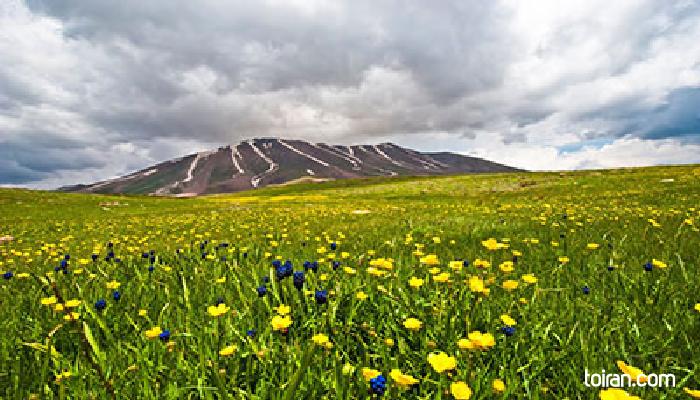Tabriz- Sahand Mountain (toiran.com)
