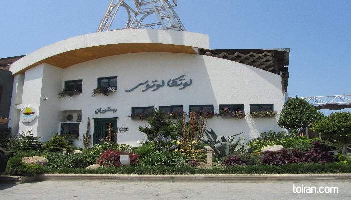 Nour- Lotka Lotus
Restaurant(toiran.com)
