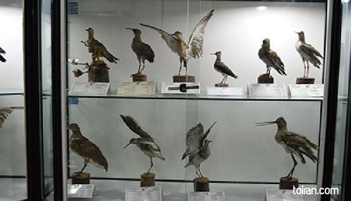 Shiraz-Natural History and Technology Museum
(toiran.com)
