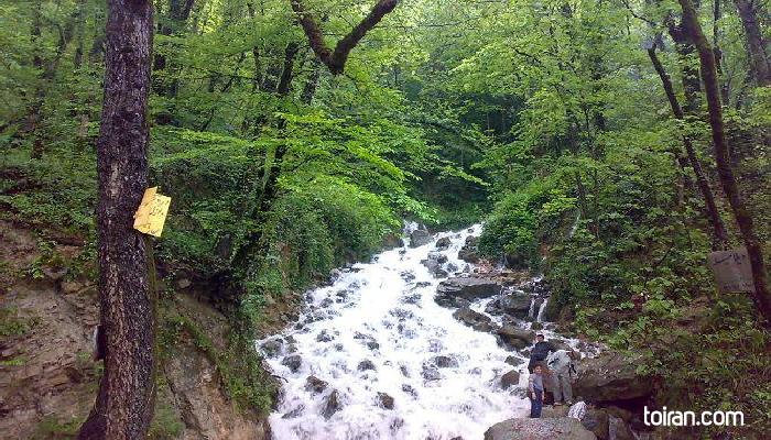Nour-Ab Pari Waterfall(toiran.com)
