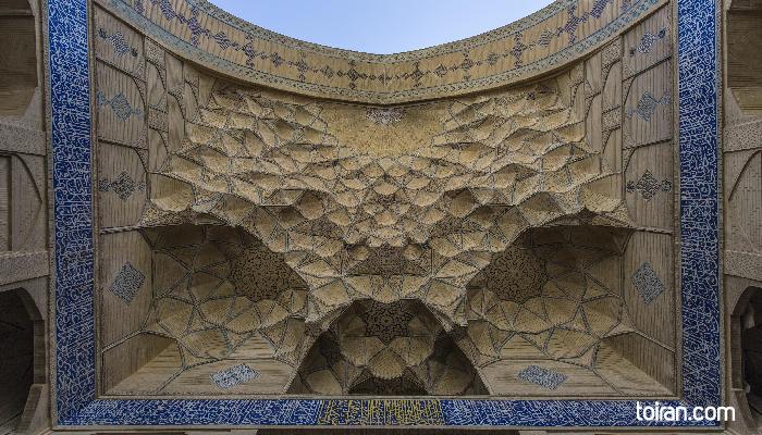  Isfahan- Jame Mosque of Isfahan (toiran.com / Photo by Shahin Kamali)
