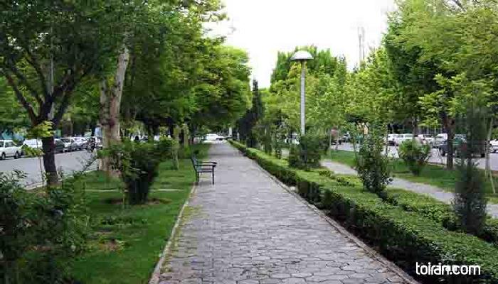 Isfahan- Chahar Bagh Boulevard (toiran.com)

