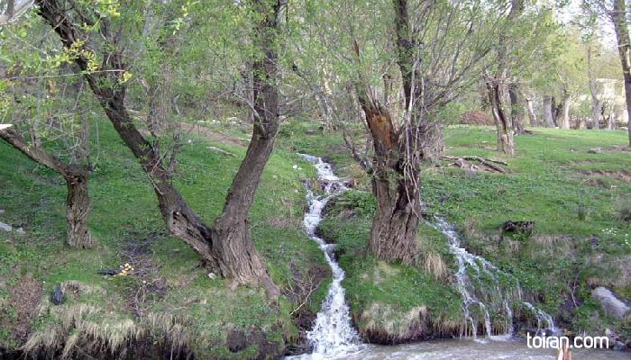 Hamedan- Douzakh Dareh Waterfalls  (toiran.com)
