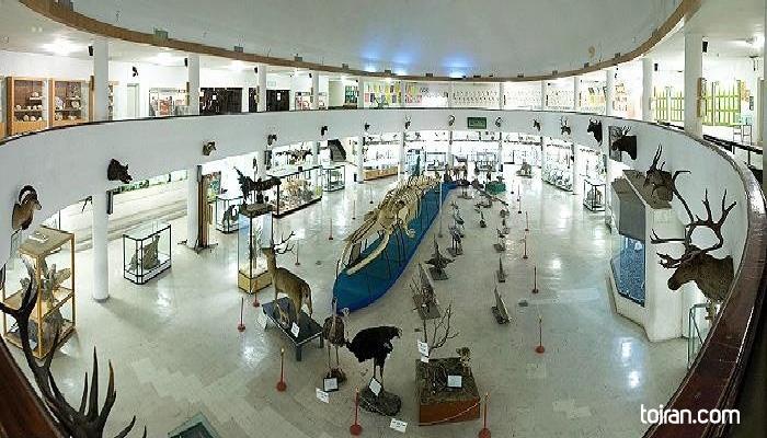  Bushehr- Natural History and Biodiversity Museum (toiran.com)
