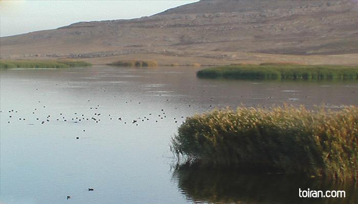Boroujerd- Bisheh Dalan Wetland (toiran.com)
