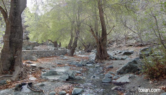 Jiroft- Dalfard Waterfall  (toiran.com)
