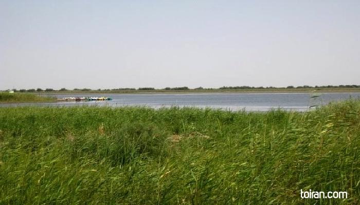  Gorgan-Almagul Wetland(toiran.com)

