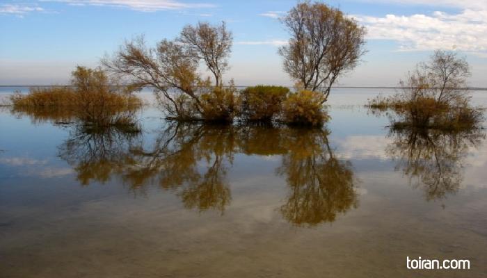 Gorgan-Almagul Wetland(toiran.com)

 