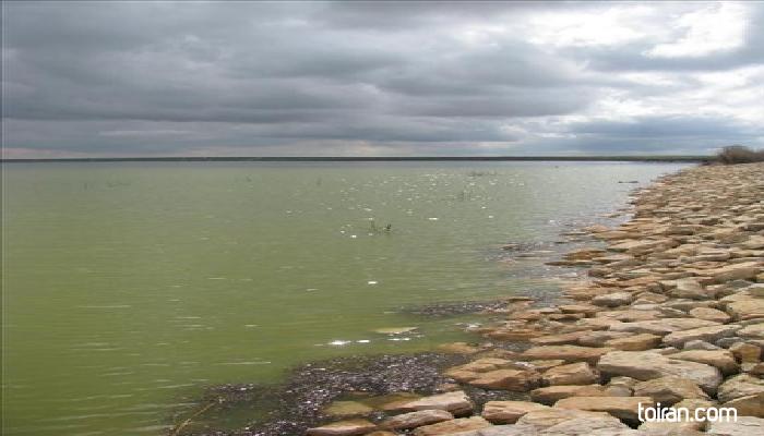 Gorgan-Alagul Wetland(toiran.com)
