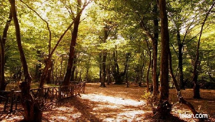  Gorgan-Alang Darreh Forest Park(toiran.com)

 
