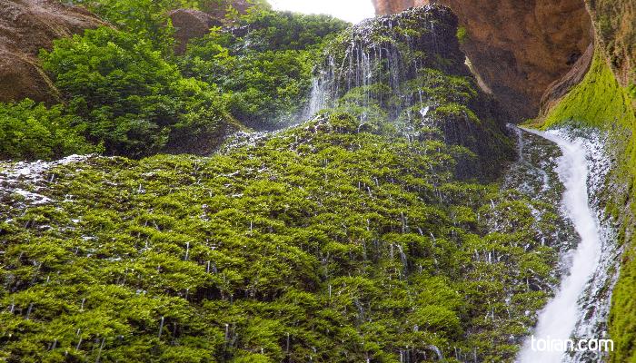 Gorgan-
Golestan National Park Waterfall(toiran.com)
 