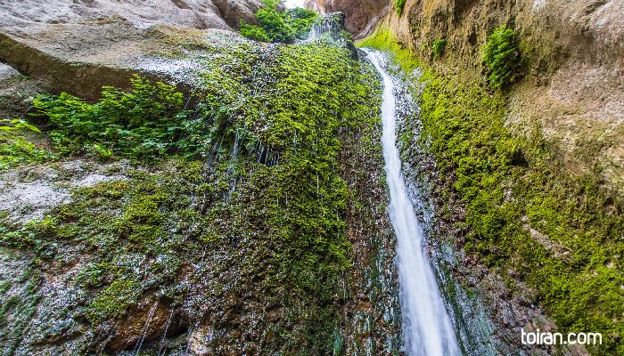 Gorgan-
Golestan National Park Waterfall(toiran.com)
