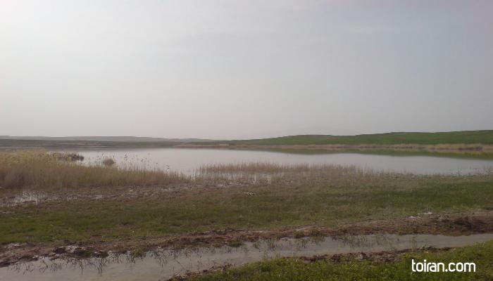  Ardabil- Shoorgol Wetland (toiran.com)
