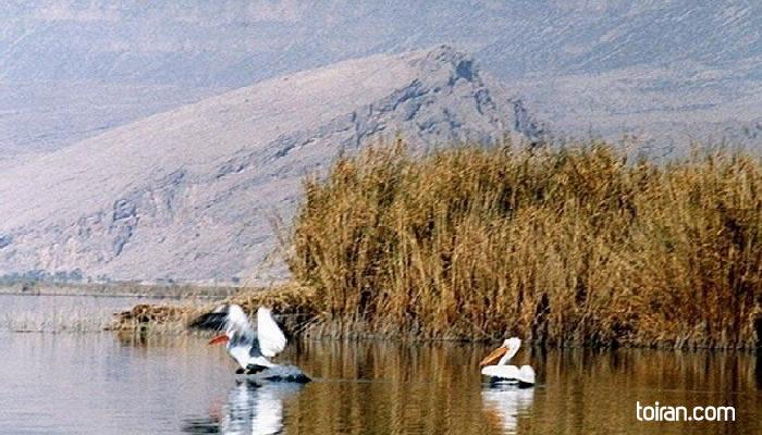   Urmia- Ghopi Baba Ali Wetland (toiran.com)

